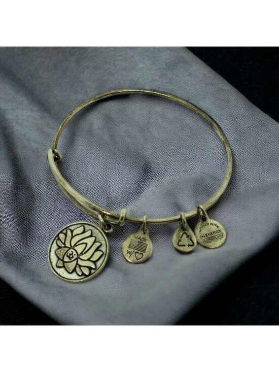 Alex and Ani Jewelry - Alex and Ani Lotus Flower Bracelet Rafaelian Silver Bangle 2015 Jewelry Charm